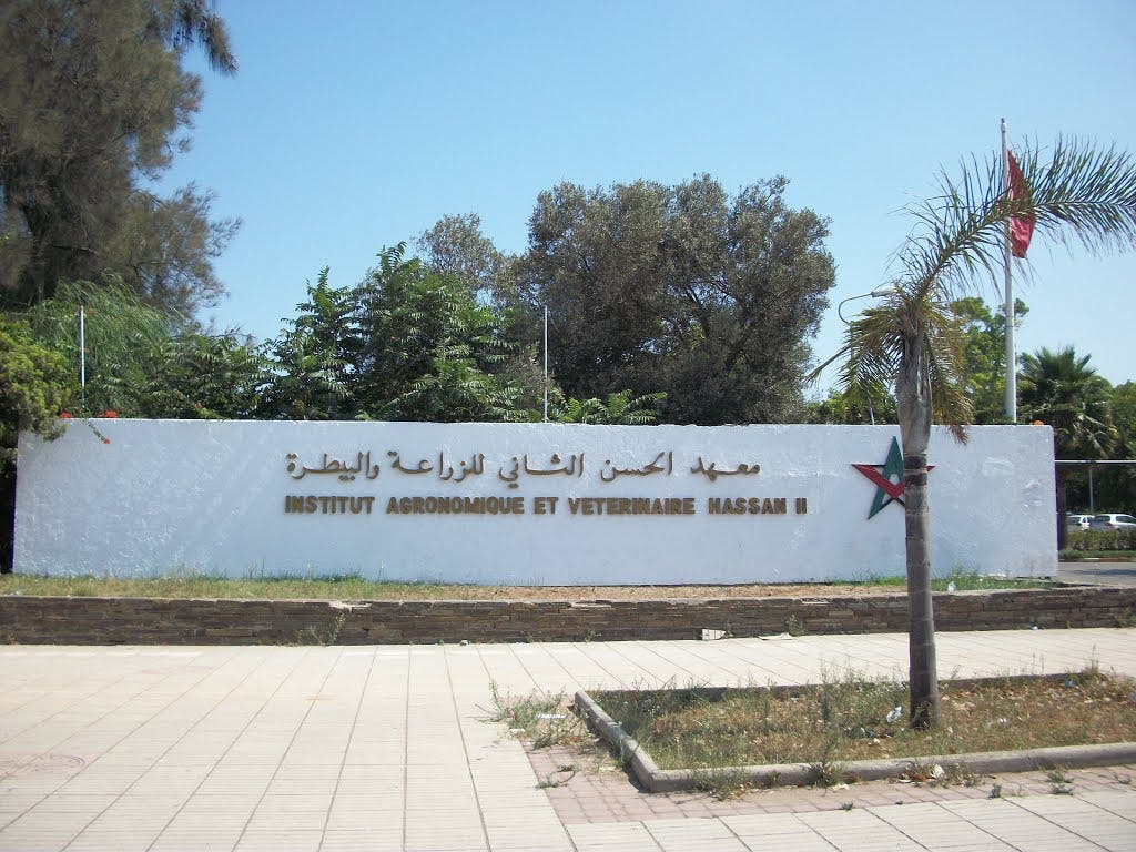 Concours de l'Institut Agronomique et Vétérinaire Hassan II  (IAV)