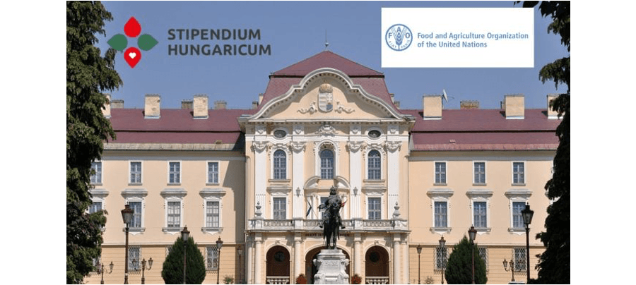 Hongrie : Bourses du programme « Stipendium Hungaricum »