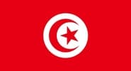 تونس flag