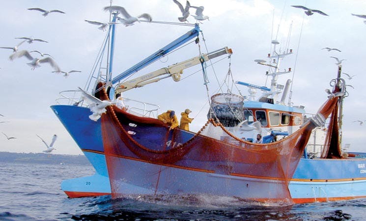 ولوج مستوى التقني بمعاهد تكنولوجيا الصيد البحري